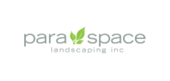 Para Space logo